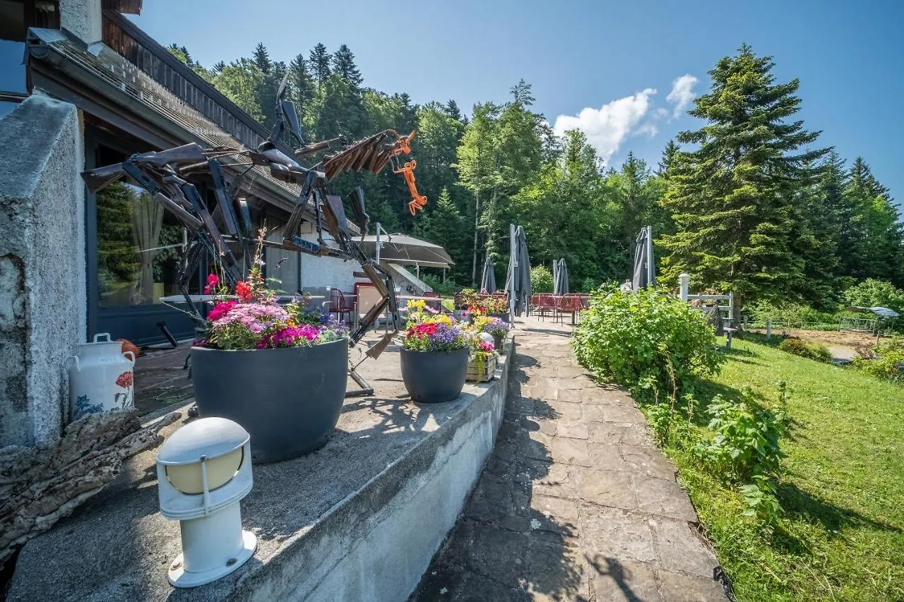 Apartment Gite Le Jorat - Studio Bogeve
